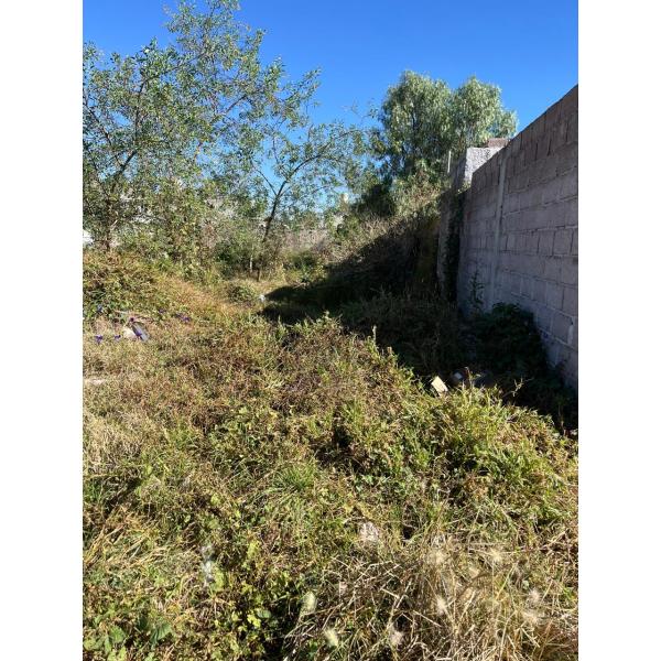 TERRENO EN VENTA EN CALLE JACARANDAS**** COL. PRIMERO E MAYO **** ZUMPANGO**** EDO. MEX.