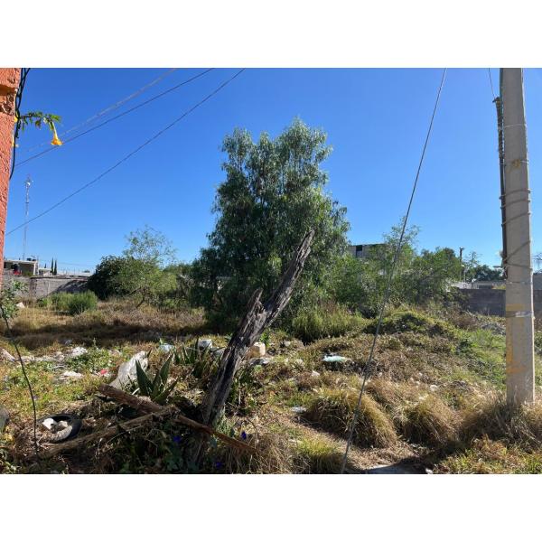 TERRENO EN VENTA EN CALLE JACARANDAS**** COL. PRIMERO E MAYO **** ZUMPANGO**** EDO. MEX.
