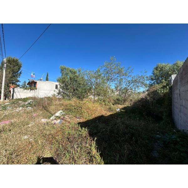TERRENO EN VENTA EN CALLE JACARANDAS**** COL. PRIMERO E MAYO **** ZUMPANGO**** EDO. MEX.